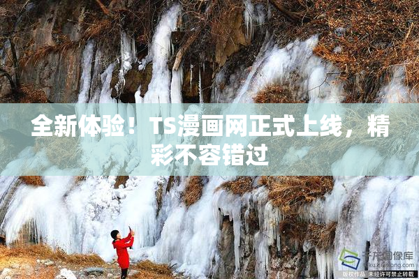 全新体验！TS漫画网正式上线，精彩不容错过