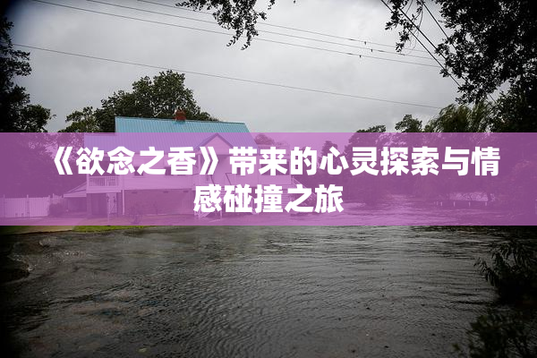 《欲念之香》带来的心灵探索与情感碰撞之旅