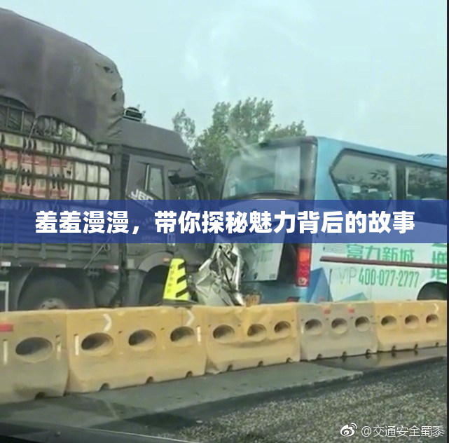 羞羞漫漫，带你探秘魅力背后的故事