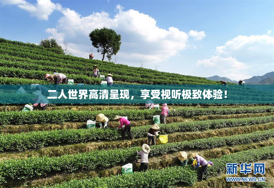 二人世界高清呈现，享受视听极致体验！