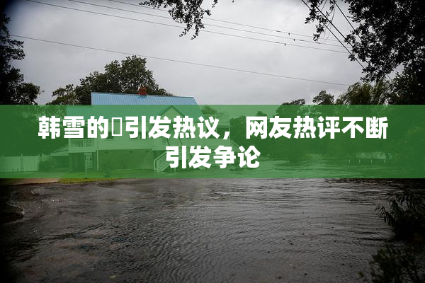 韩雪的婬引发热议，网友热评不断引发争论