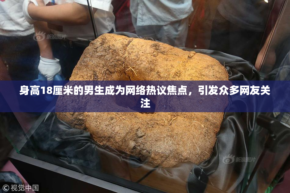 身高18厘米的男生成为网络热议焦点，引发众多网友关注