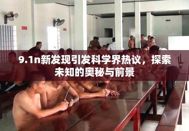 9.1n新发现引发科学界热议，探索未知的奥秘与前景