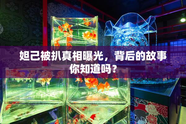 妲己被扒真相曝光，背后的故事你知道吗？