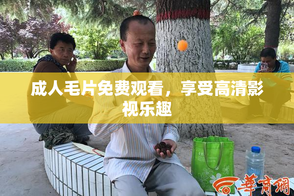 成人毛片免费观看，享受高清影视乐趣