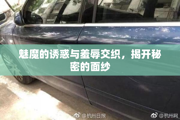魅魔的诱惑与羞辱交织，揭开秘密的面纱