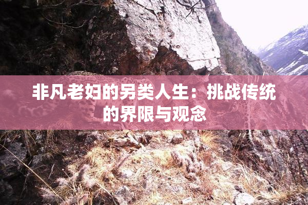 非凡老妇的另类人生：挑战传统的界限与观念
