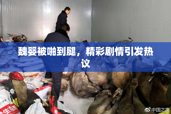 魏婴被啪到腿，精彩剧情引发热议
