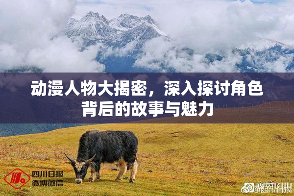 动漫人物大揭密，深入探讨角色背后的故事与魅力