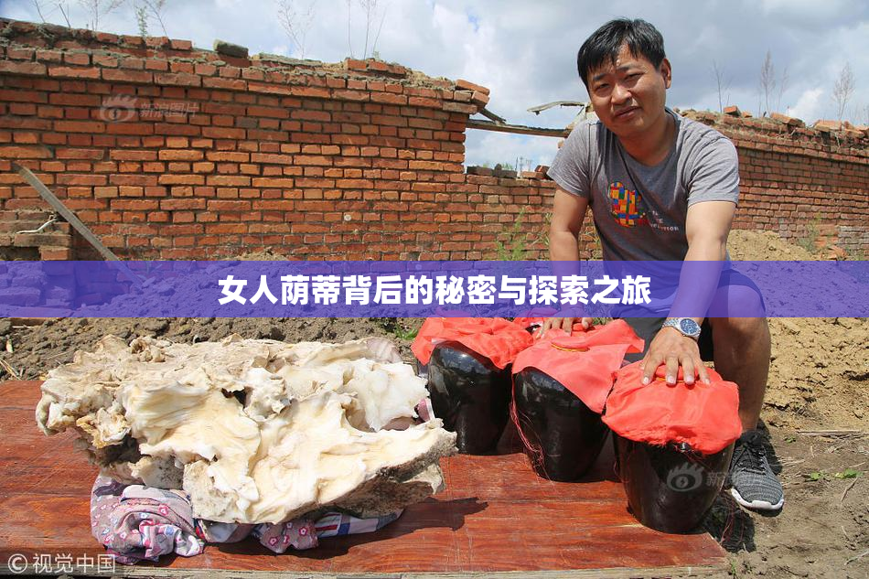 女人荫蒂背后的秘密与探索之旅