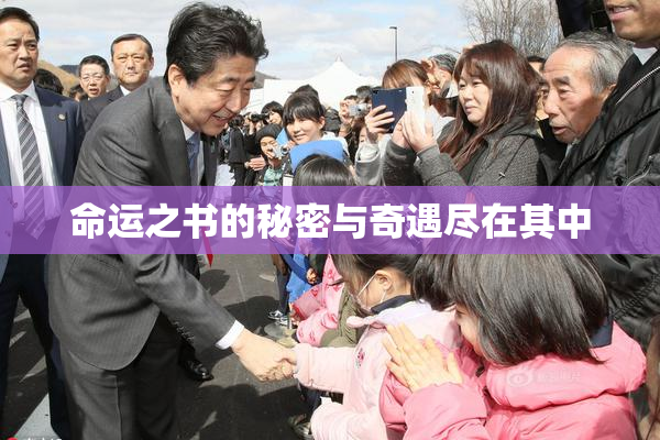 命运之书的秘密与奇遇尽在其中
