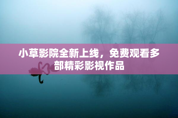 小草影院全新上线，免费观看多部精彩影视作品