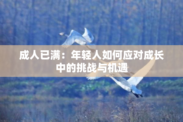 成人已满：年轻人如何应对成长中的挑战与机遇