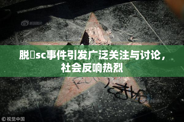 脱糞sc事件引发广泛关注与讨论，社会反响热烈