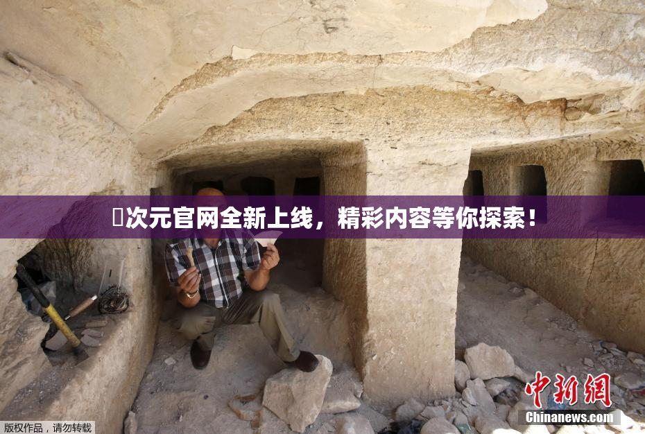 囧次元官网全新上线，精彩内容等你探索！