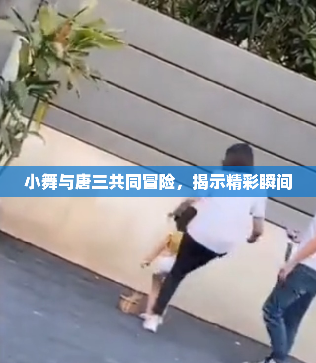 小舞与唐三共同冒险，揭示精彩瞬间