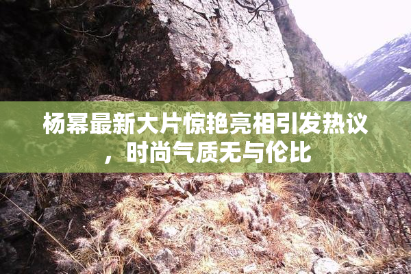 杨幂最新大片惊艳亮相引发热议，时尚气质无与伦比