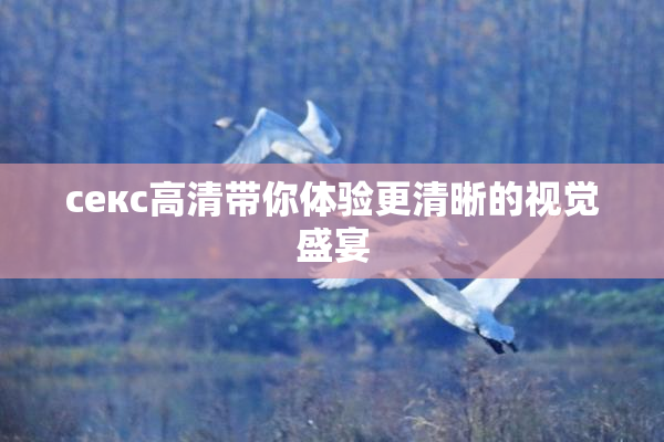 ceкс高清带你体验更清晰的视觉盛宴