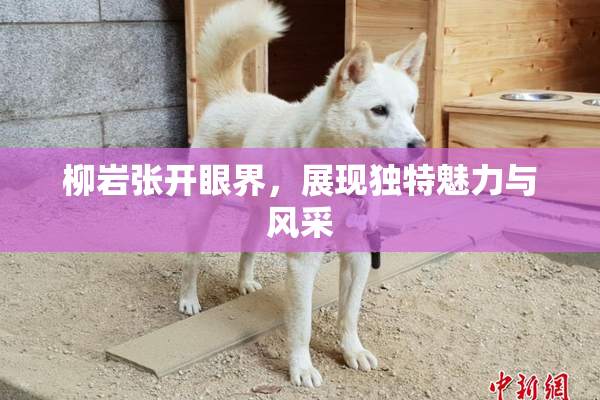 柳岩张开眼界，展现独特魅力与风采