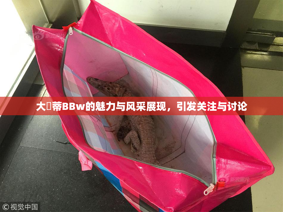 大陰蒂BBw的魅力与风采展现，引发关注与讨论