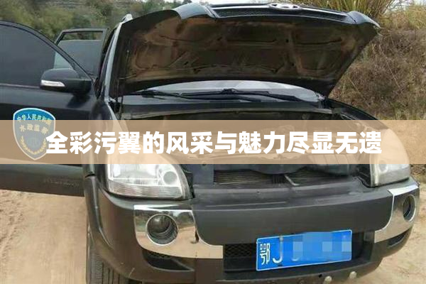 全彩污翼的风采与魅力尽显无遗