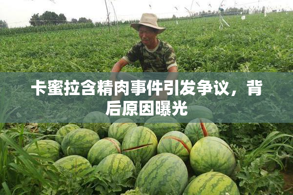 卡蜜拉含精肉事件引发争议，背后原因曝光