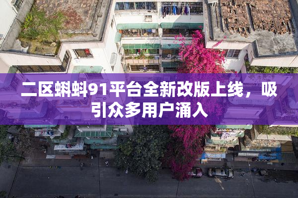 二区蝌蚪91平台全新改版上线，吸引众多用户涌入