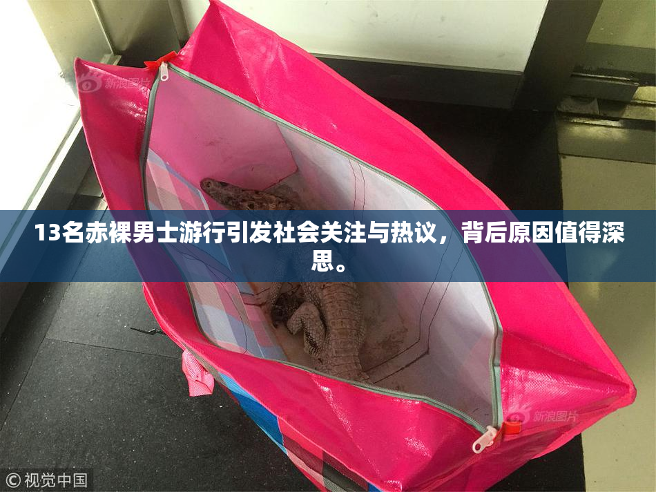 13名赤裸男士游行引发社会关注与热议，背后原因值得深思。