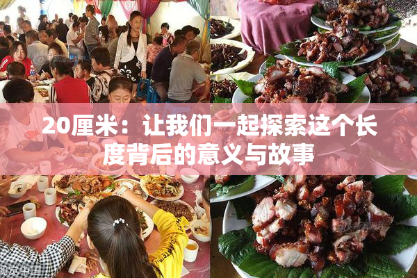 20厘米：让我们一起探索这个长度背后的意义与故事