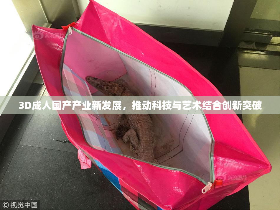 3D成人国产产业新发展，推动科技与艺术结合创新突破