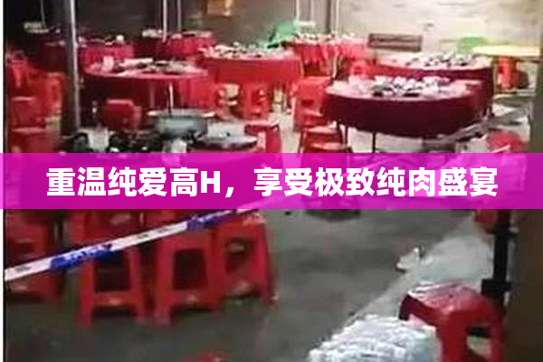 重温纯爱高H，享受极致纯肉盛宴
