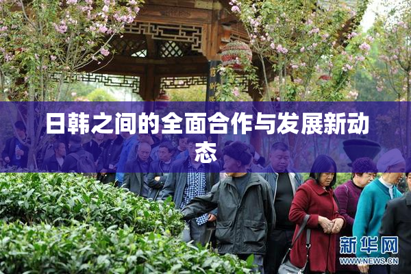 日韩之间的全面合作与发展新动态