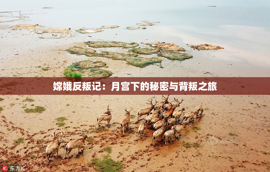 嫦娥反叛记：月宫下的秘密与背叛之旅
