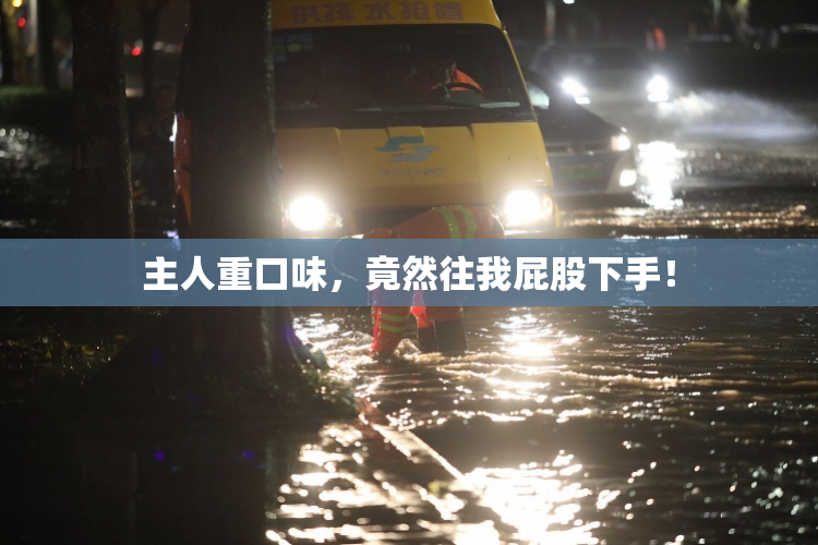主人重口味，竟然往我屁股下手！