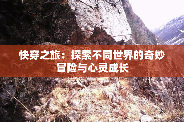 快穿之旅：探索不同世界的奇妙冒险与心灵成长