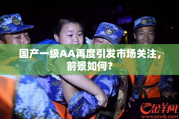 国产一级AA再度引发市场关注，前景如何？