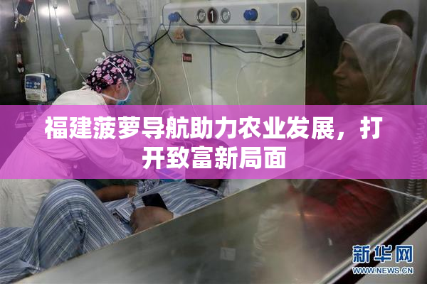 福建菠萝导航助力农业发展，打开致富新局面