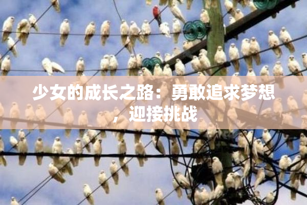 少女的成长之路：勇敢追求梦想，迎接挑战