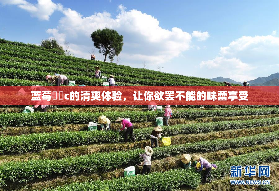 蓝莓❌‌c的清爽体验，让你欲罢不能的味蕾享受