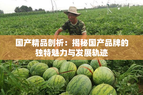国产精品剖析：揭秘国产品牌的独特魅力与发展轨迹