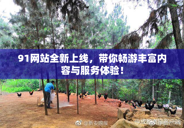 91网站全新上线，带你畅游丰富内容与服务体验！