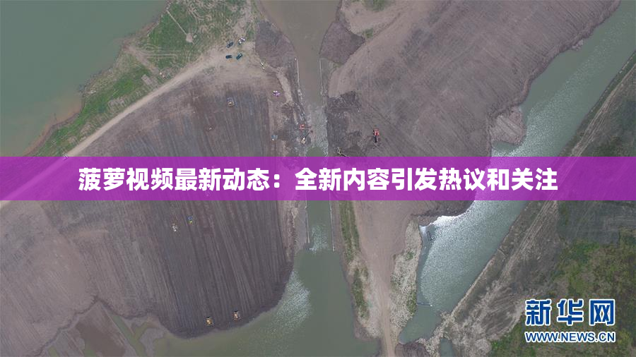 菠萝视频最新动态：全新内容引发热议和关注