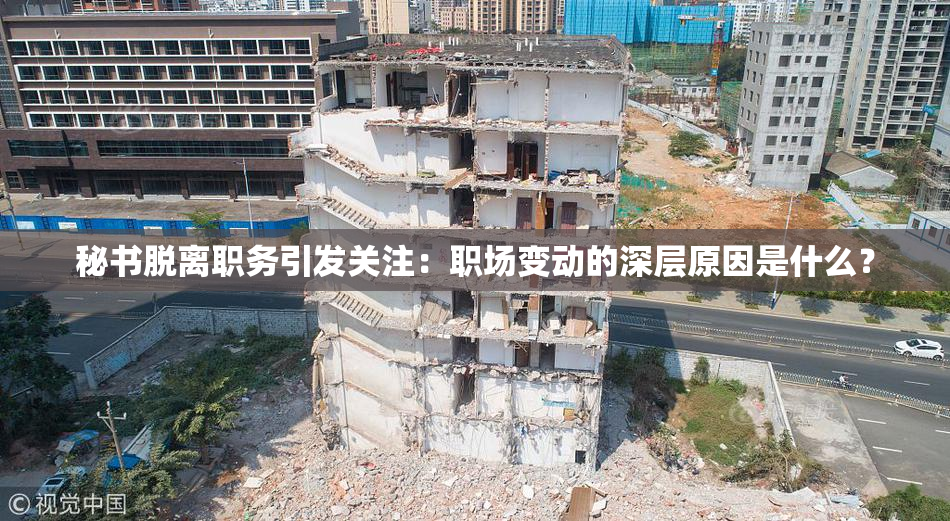 秘书脱离职务引发关注：职场变动的深层原因是什么？