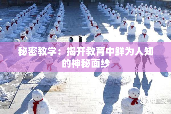 秘密教学：揭开教育中鲜为人知的神秘面纱