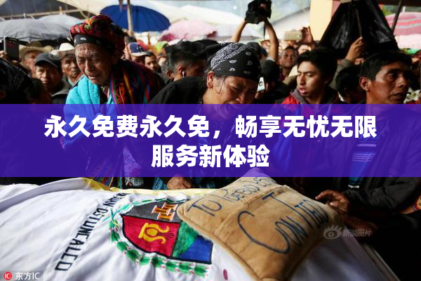 永久免费永久免，畅享无忧无限服务新体验