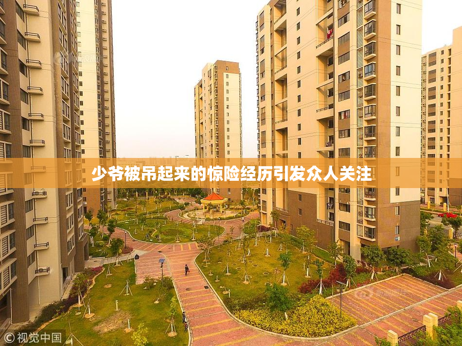 少爷被吊起来的惊险经历引发众人关注