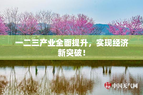 一二三产业全面提升，实现经济新突破！