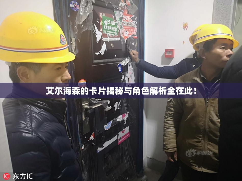 艾尔海森的卡片揭秘与角色解析全在此！