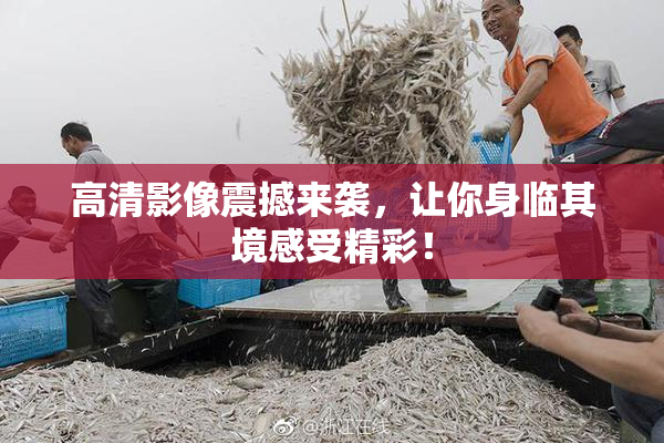 高清影像震撼来袭，让你身临其境感受精彩！