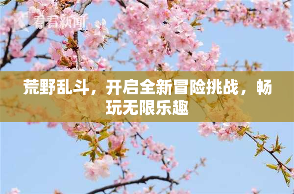 荒野乱斗，开启全新冒险挑战，畅玩无限乐趣